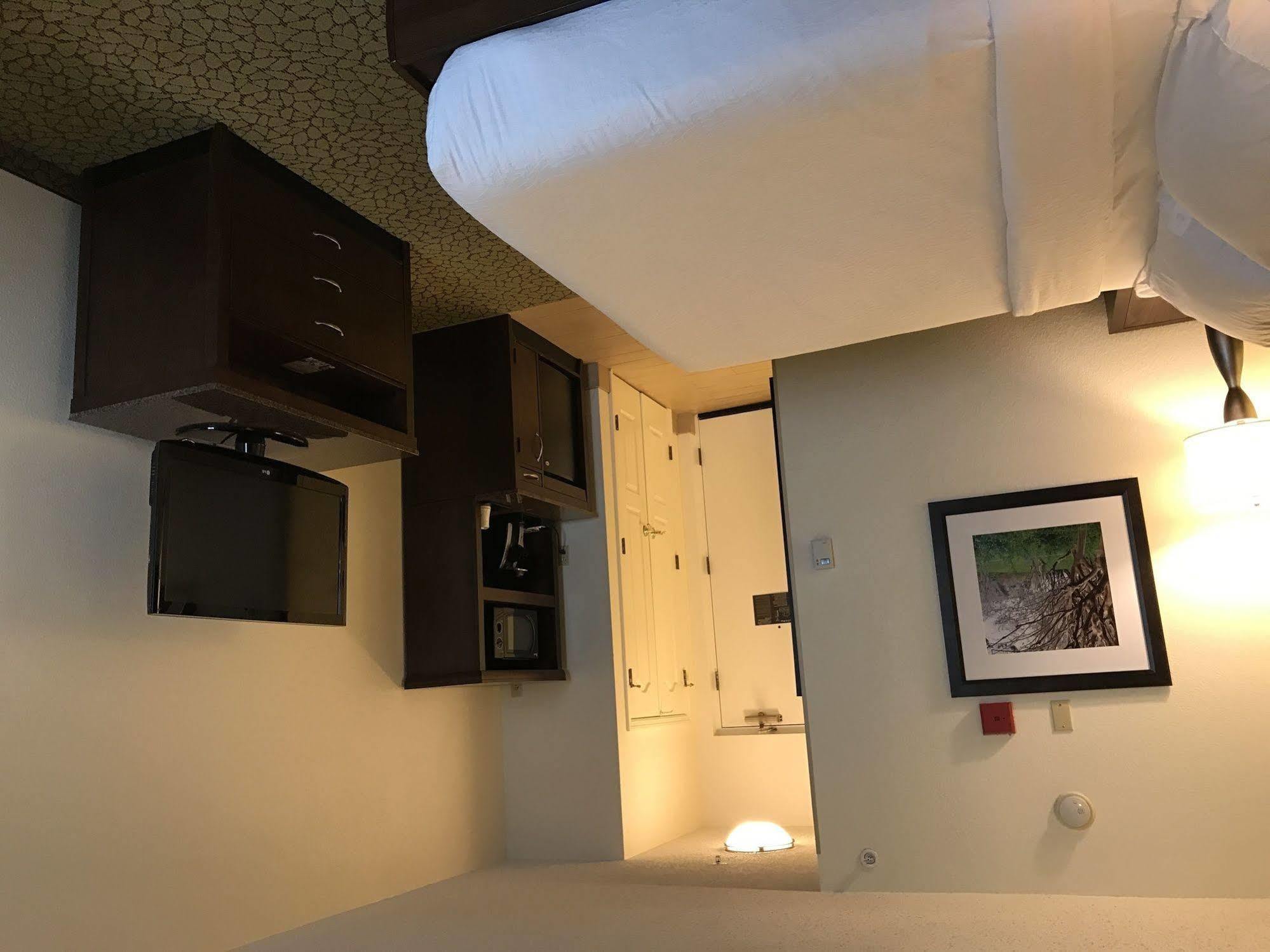 Hilton Garden Inn Orlando East - Ucf Area Alafaya Kültér fotó